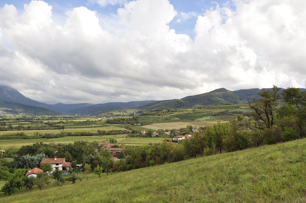 Holiday Home Slavi Vipava Kültér fotó